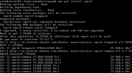  Penggunaan Squid Sebagai Proxy Server Di Ubuntu Server 10.10 